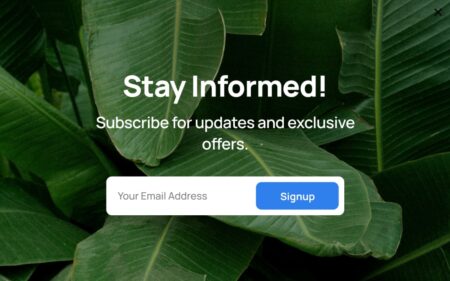 Exit-Intent Popup – Newsletter Signup