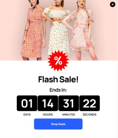 Slide in -Flash Sale Offer